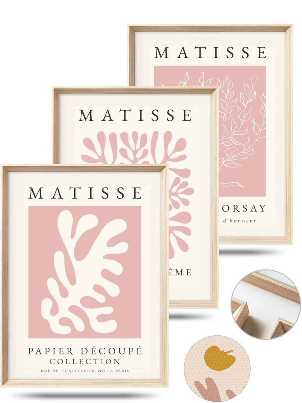 Matisse Pink Botanical Print Trio